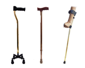 Walking Sticks or Walking Canes
